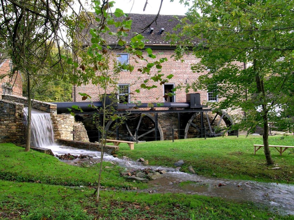 Salamander And Middleburg