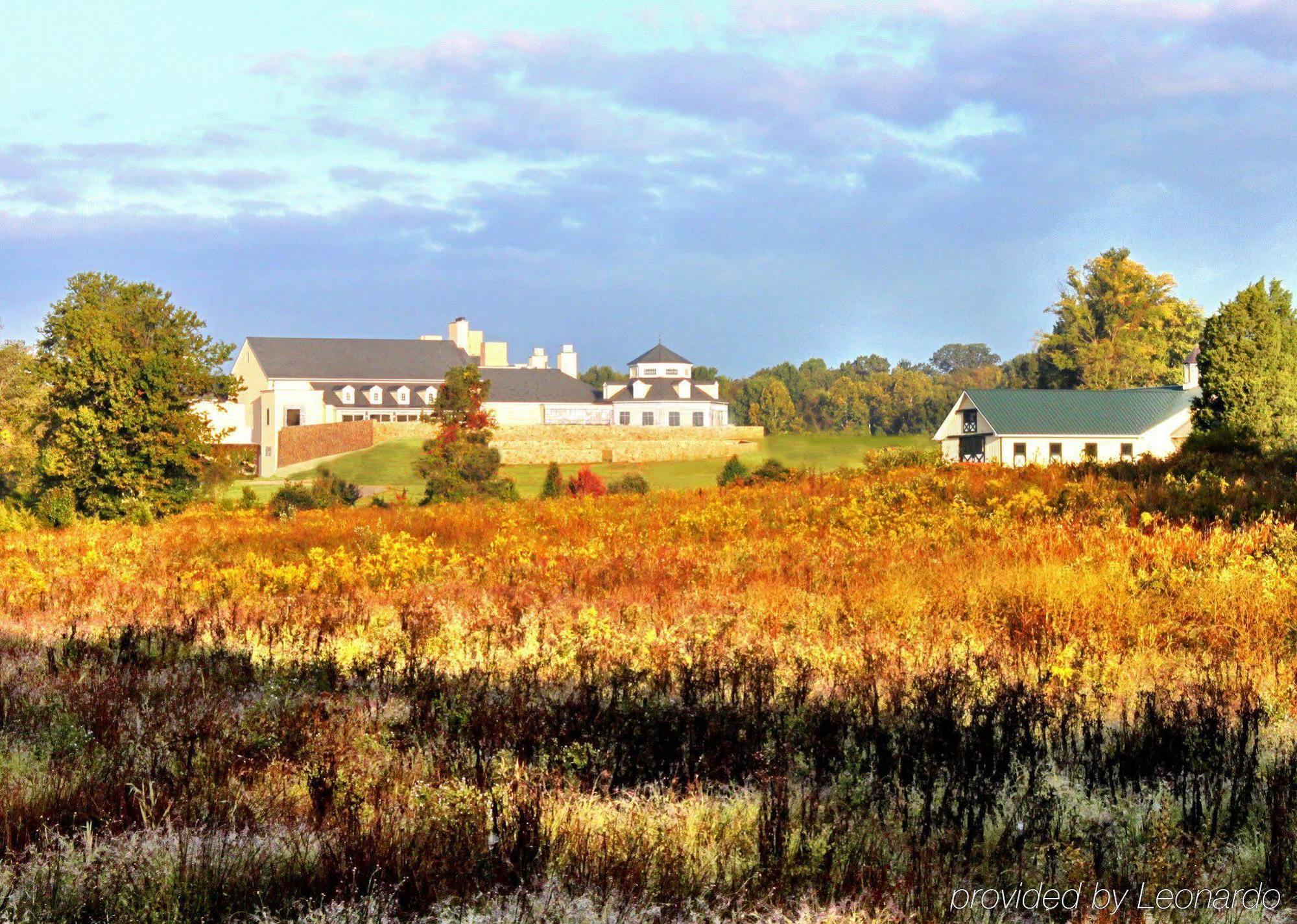 Salamander And Middleburg